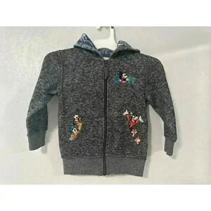 Walt Disney World Parks Youth Lg Hoodie Jacket Mickey Goofy All Embroidered 2019